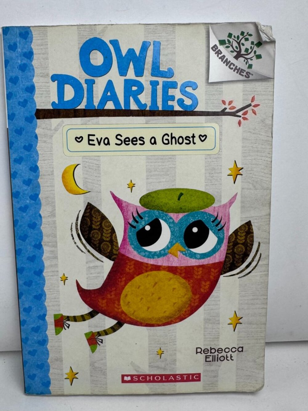 Owl Diaries Eva Sees A Ghost Rebecca Elliott Scholastic Branches Chapter Book